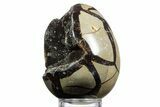 Septarian Dragon Egg Geode - Sparkly Black Crystals #356148-2